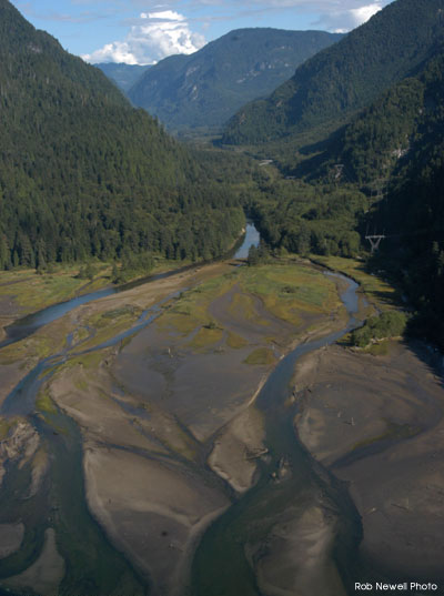 Indian River Estuary