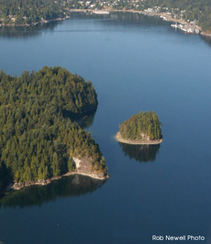 Jug Island