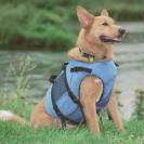 Salus Skippy Dog Vest Salus Skippy Dog Vest